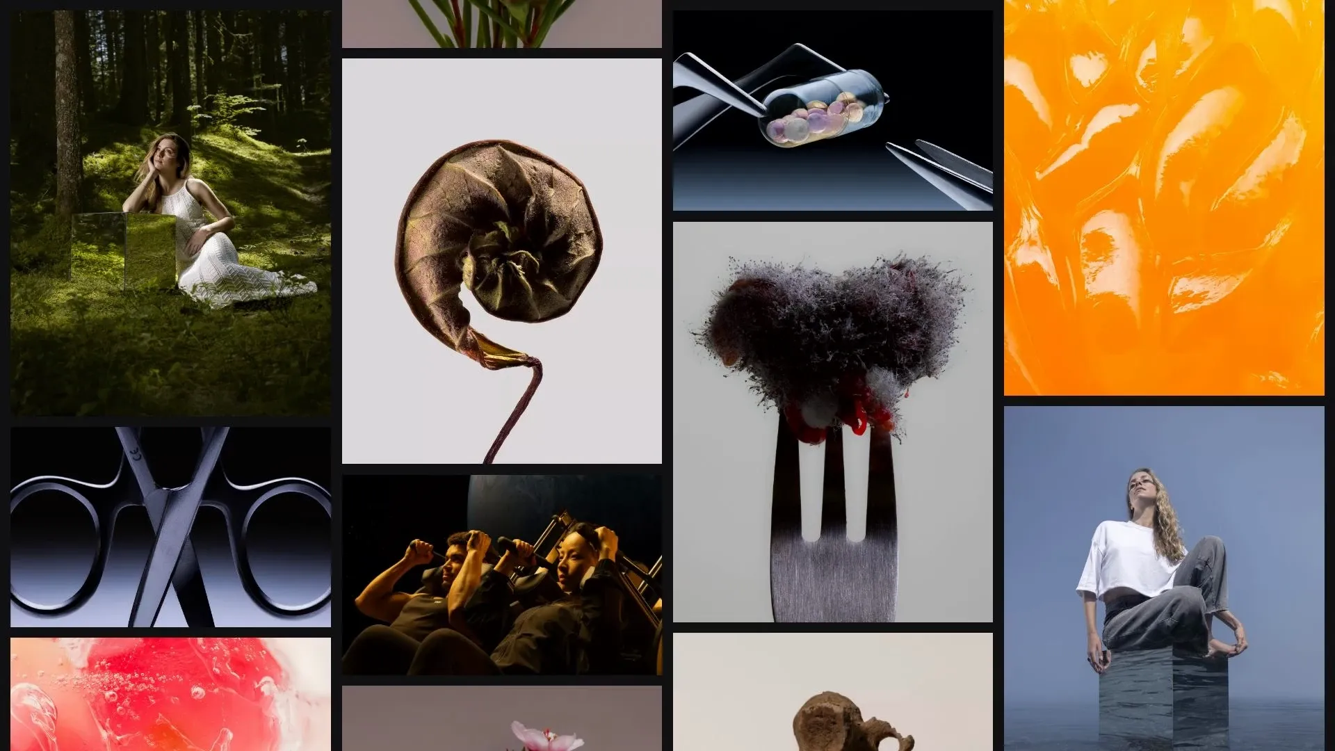 Les images du laboratoire défilent sur le noir