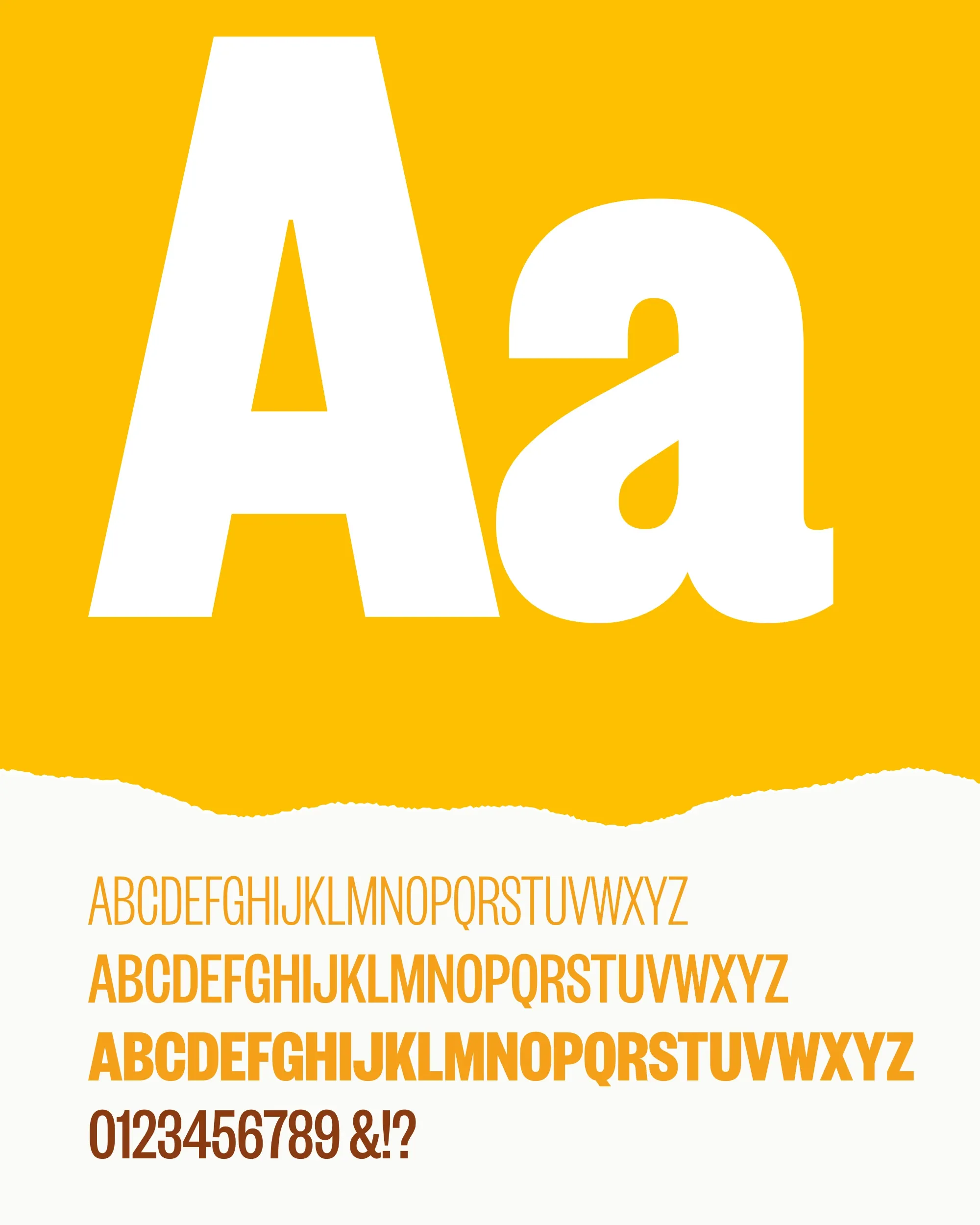 Founders Grotesk X-Condensed, en trois graisses