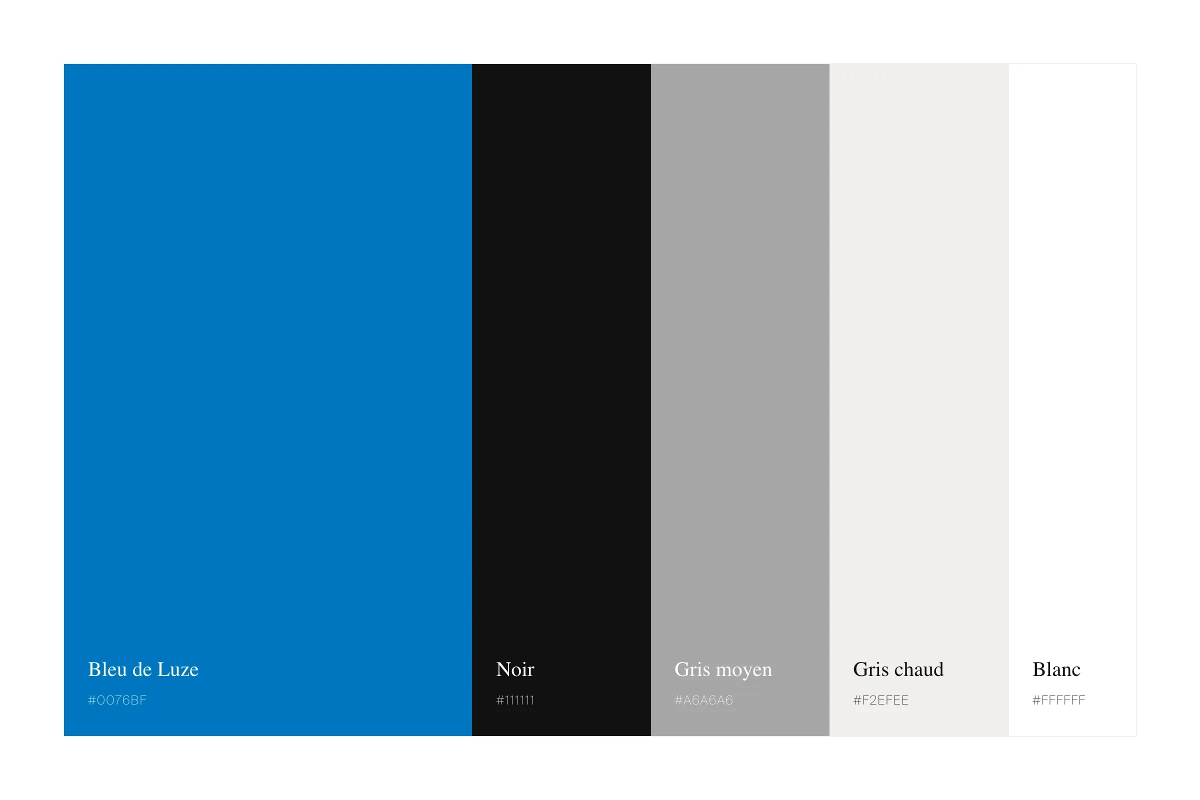 La palette : bleu de Luze, noir, gris moyen, gris chaud et blanc