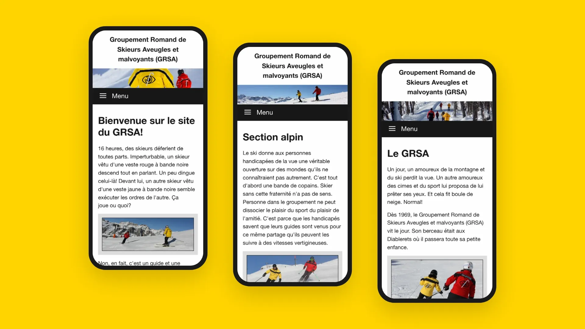 L'accueil, une section et la présentation du GRSA sur mobile
